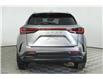 2025 Lexus NX 350  (Stk: 14109521) in Markham - Image 6 of 11