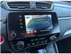 2020 Honda CR-V Sport (Stk: A-231981) in Moncton - Image 17 of 20