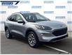 2022 Ford Escape Titanium Hybrid (Stk: P1294A) in Dartmouth - Image 6 of 24