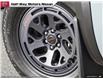 2025 Nissan Frontier PRO-4X (Stk: NC5611) in Thunder Bay - Image 8 of 25