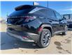 2025 Hyundai Tucson Plug-In Hybrid Ultimate (Stk: 80281) in Saskatoon - Image 7 of 34