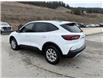 2025 Ford Escape Active (Stk: 5S014) in Williams Lake - Image 3 of 13