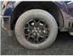 2025 Ford F-150 XLT (Stk: S9630) in ROSETOWN - Image 17 of 17