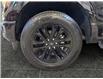 2025 Ford F-150 XLT (Stk: S9604) in ROSETOWN - Image 17 of 17