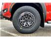 2025 Nissan Frontier PRO-4X (Stk: 1198BNN) in Owen Sound - Image 12 of 13