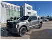 2025 Ford F-150 Lariat (Stk: VF1F00567) in Chatham - Image 24 of 24