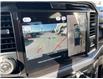 2025 Ford F-150 XLT (Stk: VF1F00677) in Chatham - Image 19 of 20