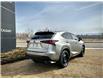 2021 Lexus NX 300 Base (Stk: 250587A) in Calgary - Image 3 of 22