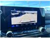2023 Chevrolet Colorado Trail Boss (Stk: W8885) in Uxbridge - Image 14 of 22