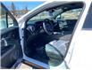 2025 Chevrolet Blazer EV LT (Stk: 12503) in Wakefield - Image 10 of 20
