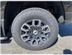 2025 Chevrolet Colorado Z71 (Stk: 12553) in Wakefield - Image 10 of 21