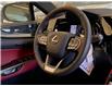 2025 Lexus NX 350h Base (Stk: 250723) in Calgary - Image 20 of 23