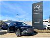 2025 Lexus NX 350h Base (Stk: 250723) in Calgary - Image 2 of 23