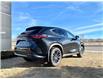 2025 Lexus NX 350h Base (Stk: 250723) in Calgary - Image 4 of 23
