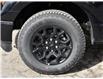 2025 Ford F-150 XLT (Stk: F51676) in GEORGETOWN - Image 7 of 25