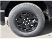 2025 Ford F-150 Lightning XLT (Stk: F51692) in GEORGETOWN - Image 8 of 29