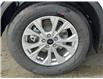 2025 Ford Escape Active (Stk: 25115) in Port Alberni - Image 11 of 25