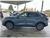 2025 Ford Escape PHEV (Stk: 25103) in Port Alberni - Image 7 of 25