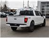 2025 Ford F-150 XLT (Stk: F51736) in GEORGETOWN - Image 6 of 29