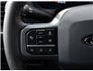 2025 Ford F-150 XLT (Stk: F51736) in GEORGETOWN - Image 19 of 29
