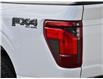 2025 Ford F-150 STX (Stk: F51738) in GEORGETOWN - Image 6 of 23