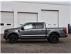 2025 Ford F-150 XLT (Stk: F51743) in GEORGETOWN - Image 3 of 27