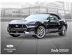 2025 Ford Mustang GT Premium (Stk: 250409) in Toronto - Image 1 of 23