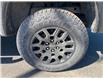 2025 Chevrolet Colorado Trail Boss (Stk: 12477) in Wakefield - Image 10 of 21
