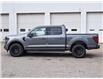 2025 Ford F-150 XLT (Stk: F51732) in GEORGETOWN - Image 6 of 30