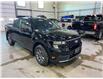 2025 Ford Maverick XLT (Stk: 25079) in Melfort - Image 4 of 10
