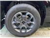 2025 Ford Maverick XLT (Stk: 25079) in Melfort - Image 7 of 10
