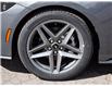 2025 Ford Mustang EcoBoost Premium (Stk: M51714) in GEORGETOWN - Image 4 of 23