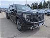 2023 GMC Sierra 1500 Denali Ultimate (Stk: 25328A) in Orangeville - Image 7 of 26