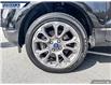 2022 Ford EcoSport Titanium (Stk: P7335L) in Dartmouth - Image 7 of 24