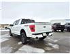 2023 Ford F-150 Tremor (Stk: U94203) in Hague - Image 4 of 21