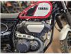 2017 Yamaha SCR950 SCRAMBLER (Stk: PM-031) in Grande Prairie - Image 3 of 6