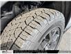 2025 Honda Pilot TrailSport (Stk: 2501293) in North York - Image 11 of 29