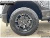 2025 Ford F-150 STX (Stk: 5F160577) in Brantford - Image 6 of 23