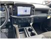 2025 Ford F-150 STX (Stk: 5F160577) in Brantford - Image 17 of 23
