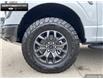 2025 Ford F-150 Tremor (Stk: 5F168257) in Brantford - Image 6 of 23