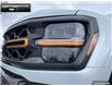 2025 Ford F-150 Tremor (Stk: 5F168257) in Brantford - Image 7 of 23