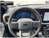 2025 Ford F-150 Tremor (Stk: 5F168257) in Brantford - Image 12 of 23