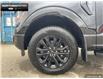 2025 Ford F-150 XLT (Stk: 5F174047) in Brantford - Image 6 of 23