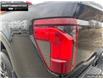 2025 Ford F-150 XLT (Stk: 5F174047) in Brantford - Image 9 of 23