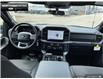 2025 Ford F-150 XLT (Stk: 5F167023) in Brantford - Image 22 of 23