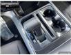 2025 Ford F-150 XLT (Stk: 5F166282) in Brantford - Image 16 of 23