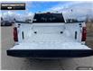 2025 Ford F-150 XLT (Stk: 5F171103) in Brantford - Image 10 of 23