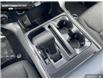 2025 Ford F-150 XLT (Stk: 5F171103) in Brantford - Image 16 of 23