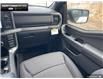 2025 Ford F-150 XLT (Stk: 5F171103) in Brantford - Image 23 of 23
