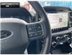 2025 Ford F-150 XLT (Stk: 5F164366) in Brantford - Image 13 of 22